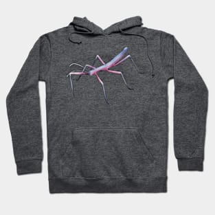 Genderfluid Stick Bug Hoodie